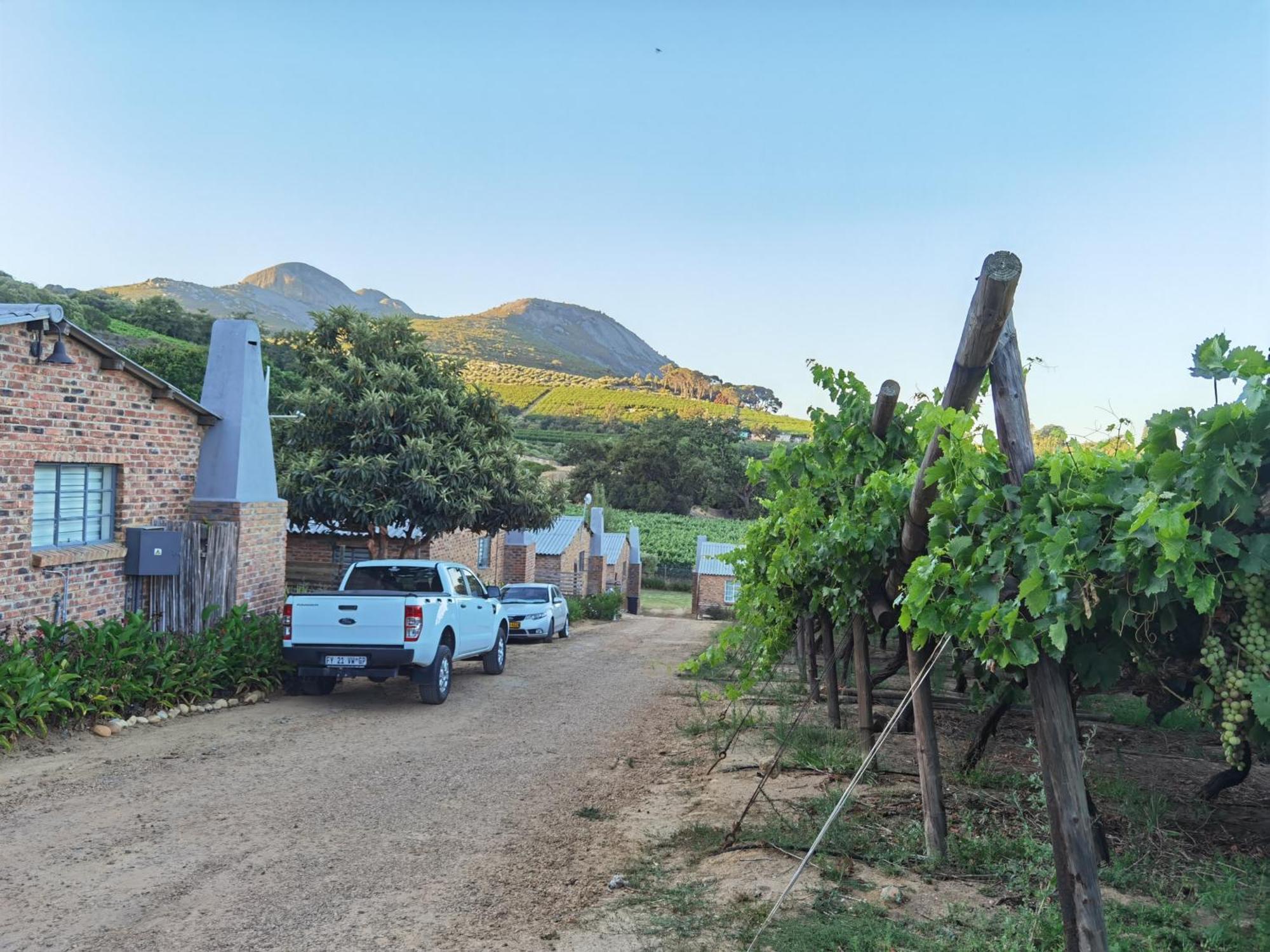 Picardie Guest Farm Paarl Zewnętrze zdjęcie