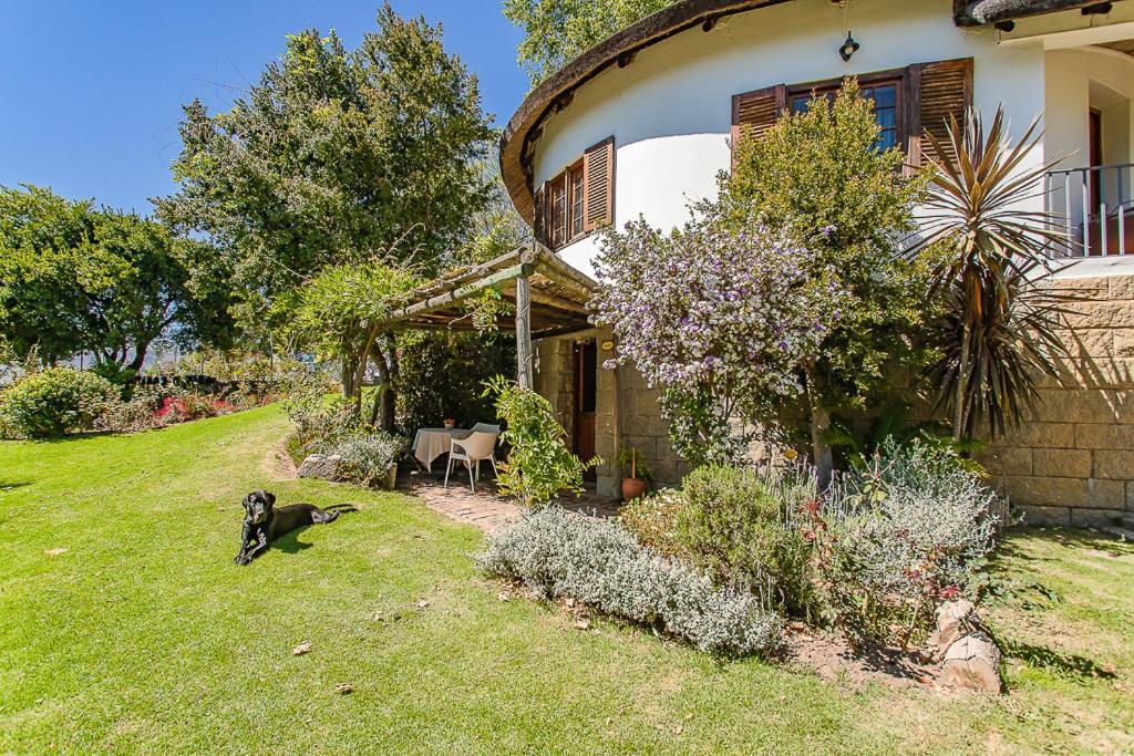 Picardie Guest Farm Paarl Zewnętrze zdjęcie